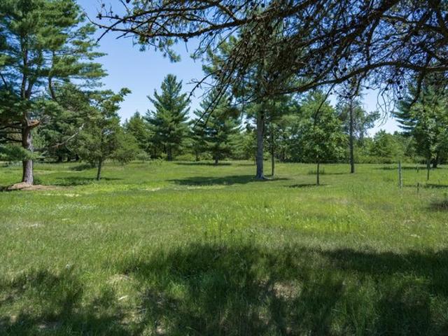 Land for sale in Hancock, Wisconsin