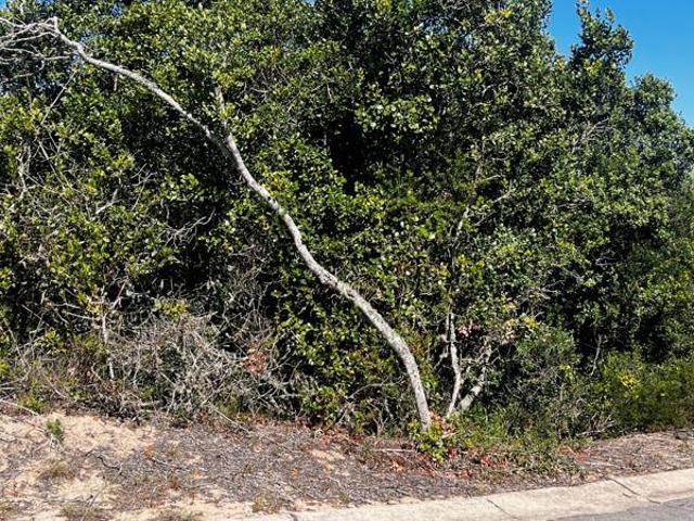 Land for sale in Eastern Cape