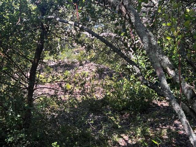 Land for sale in Eastern Cape