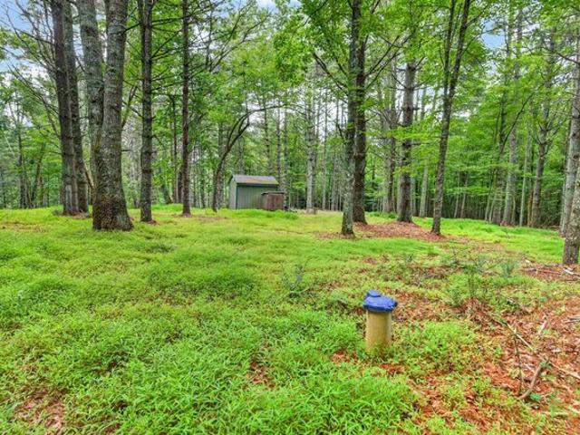 Land for sale in Virginia