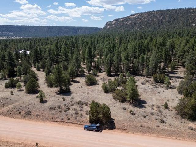 Land for sale in Ramah, New Mexico
