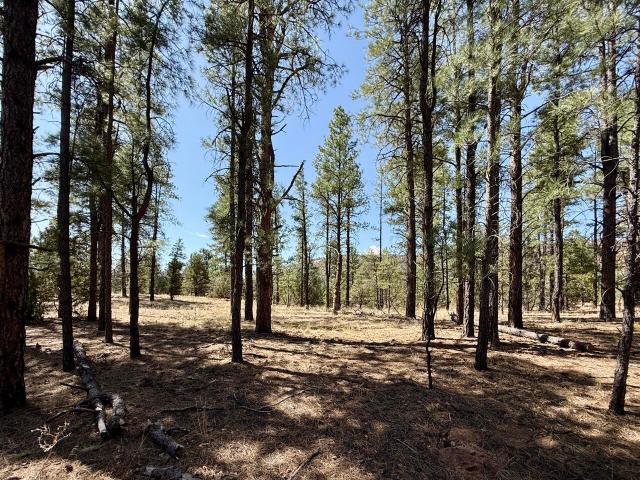 Land for sale in Ramah, New Mexico