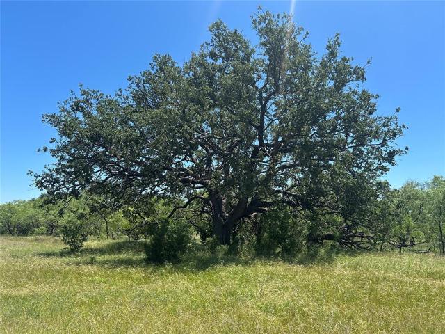 Land for sale in Coleman County, Texas