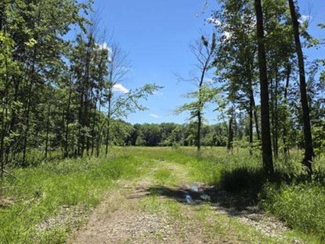 Land for sale in Cedar Springs, Michigan