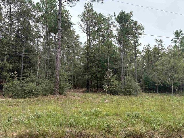 Land for sale in Lumberton, Hardin County