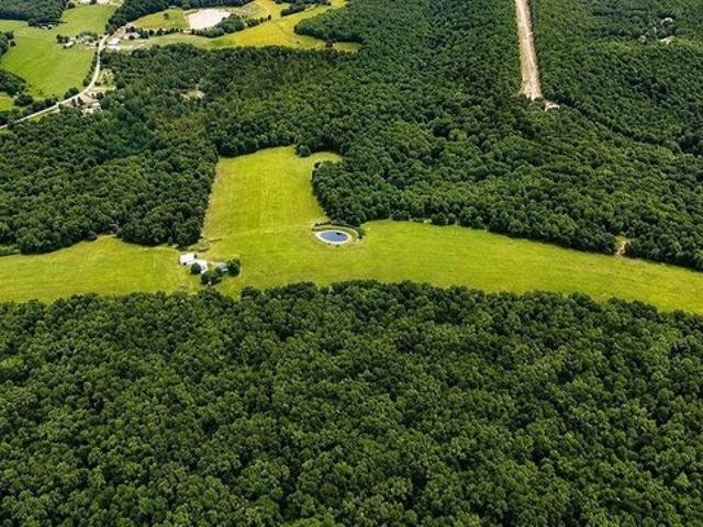 Farm for sale in Bloomsdale, Missouri