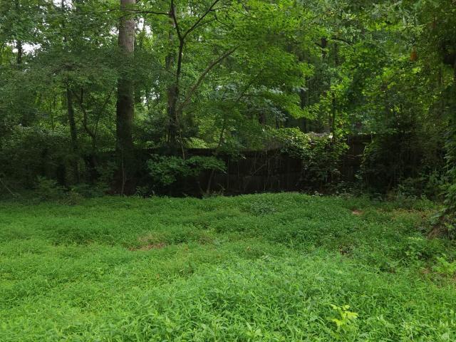 Land for sale in Clayton, Georgia