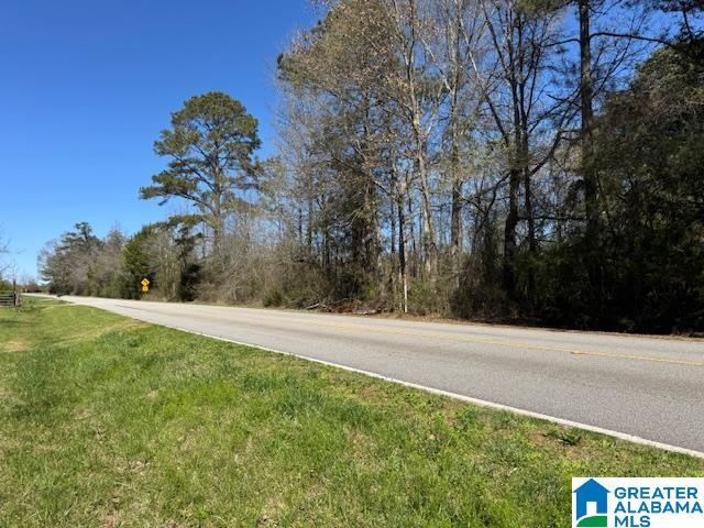 Land for sale in Wadley, Alabama