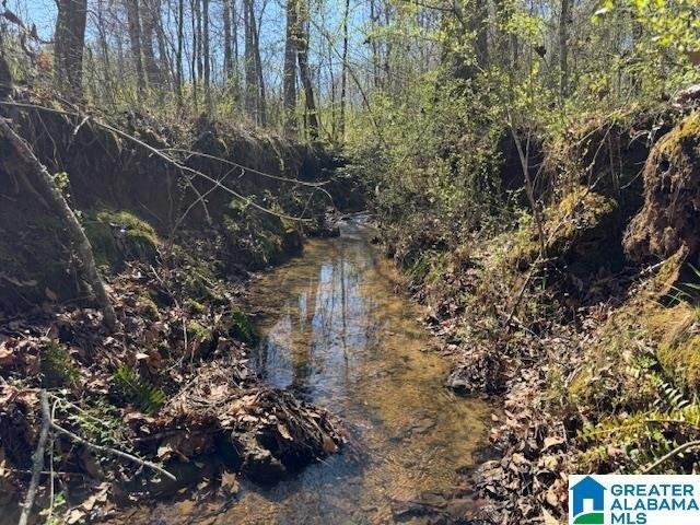 Land for sale in Wadley, Alabama