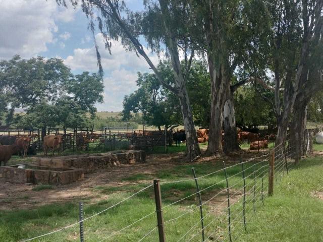 Farm for sale in Witbank, Mpumalanga