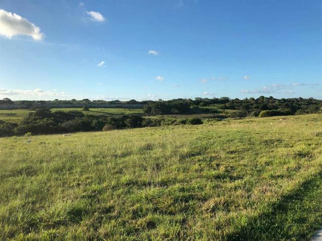 Land for sale in Bushmans River Mouth, Eastern Cape
