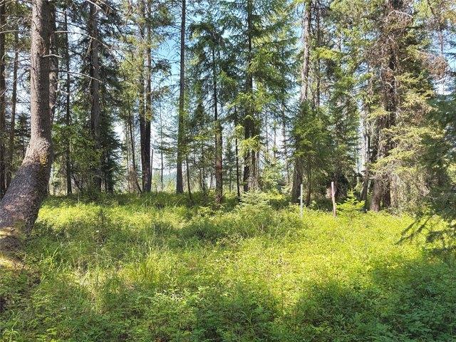 Land for sale in Montana