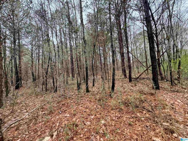 Land for sale in Pinson, Jefferson County