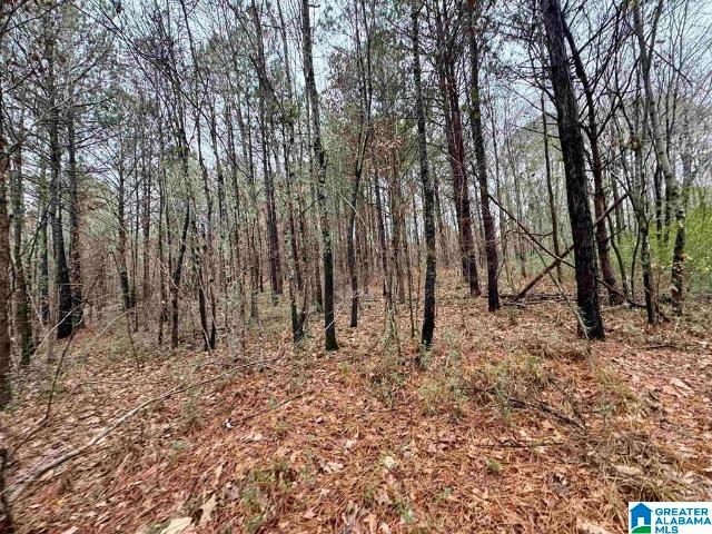 Land for sale in Pinson, Alabama