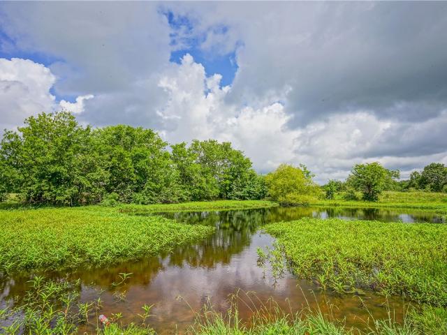 House for sale in Grimes, Texas