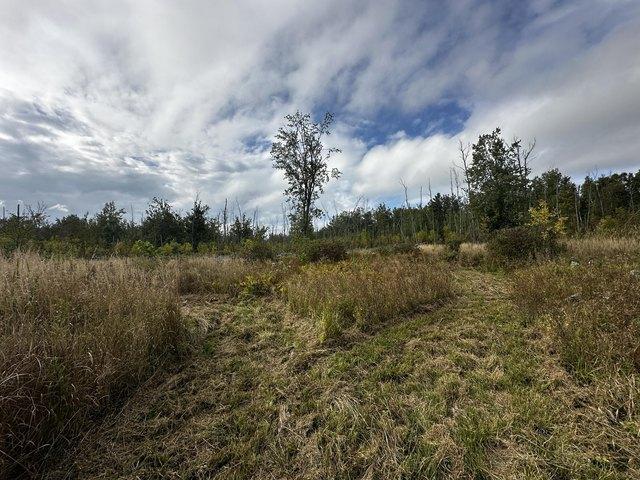 Land for sale in Alpena, Michigan