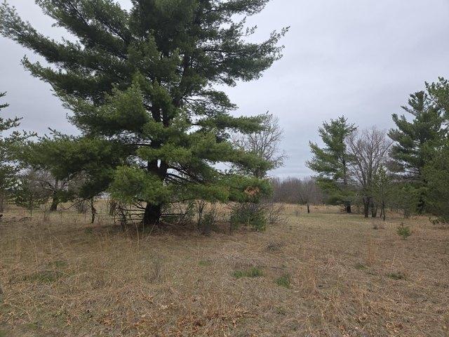 Land for sale in Hancock, Wisconsin