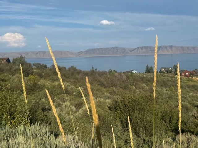 Land for sale in Fish Haven, Idaho
