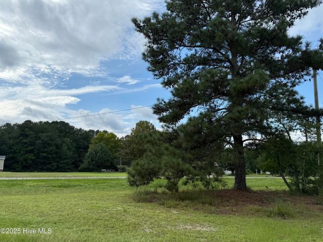 Land for sale in Elizabethtown, Bladen County