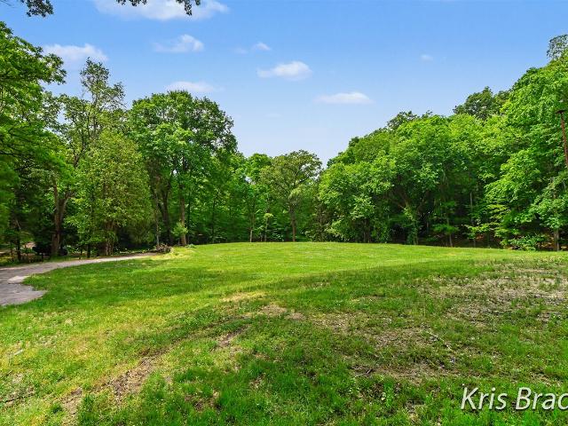 Land for sale in Ada, Michigan