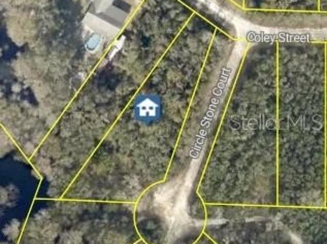 Land for sale in Webster, Florida