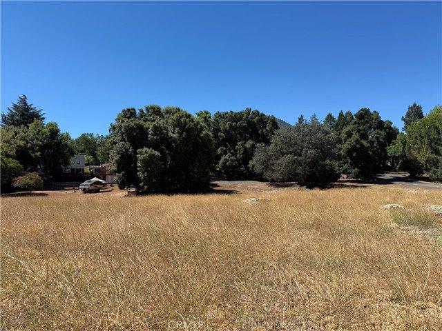 Land for sale in Lake, California