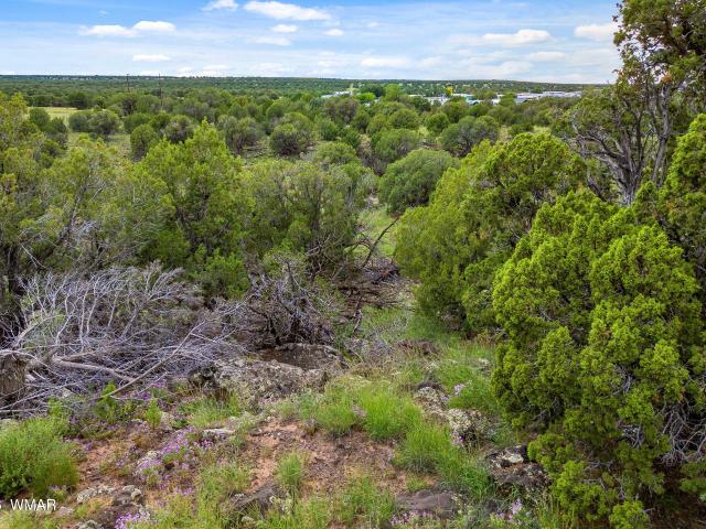 Land for sale in Navajo, Arizona