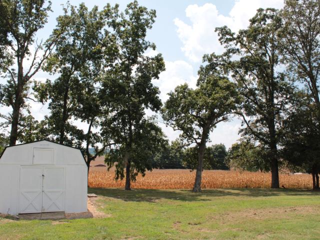 House for sale in Pleasant Hill, Hopkinsville