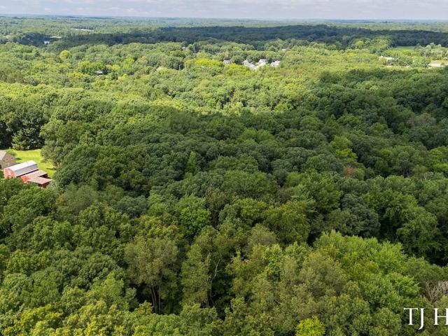 Land for sale in Cascade Charter Township, Michigan
