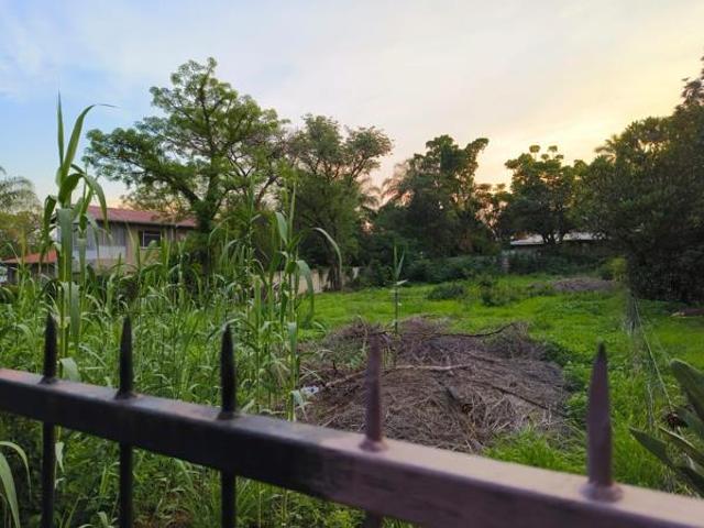 Land for sale in Limpopo