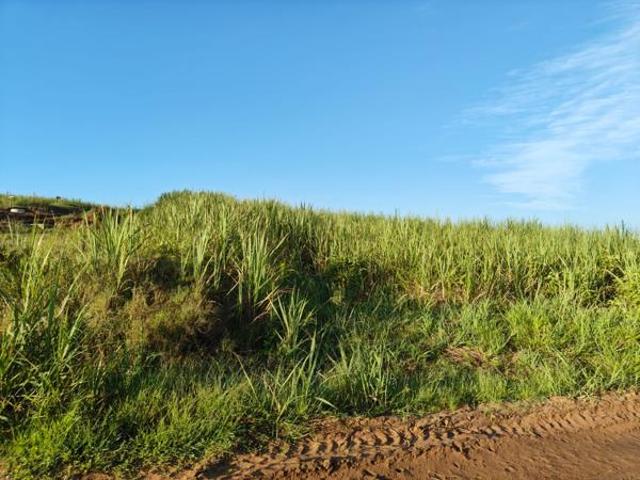 Land for sale in Princess Grant, Kwazulu-natal