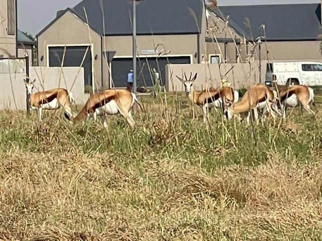 Land for sale in Oranjeville, Free State