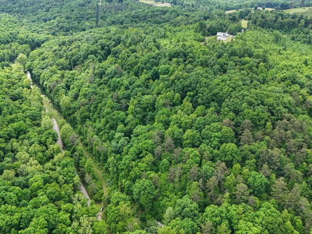 Land for sale in Somerset, Kentucky