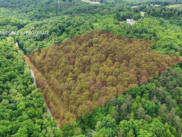 Land for sale in Somerset, Kentucky