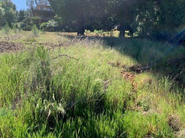 Land for sale in Lake, California