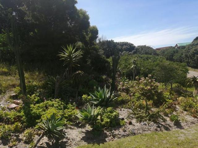 Land for sale in Cape St Francis, Eastern Cape