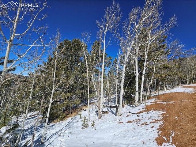 Land for sale in Teller, Colorado