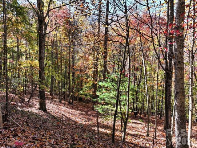 Land for sale in North Carolina