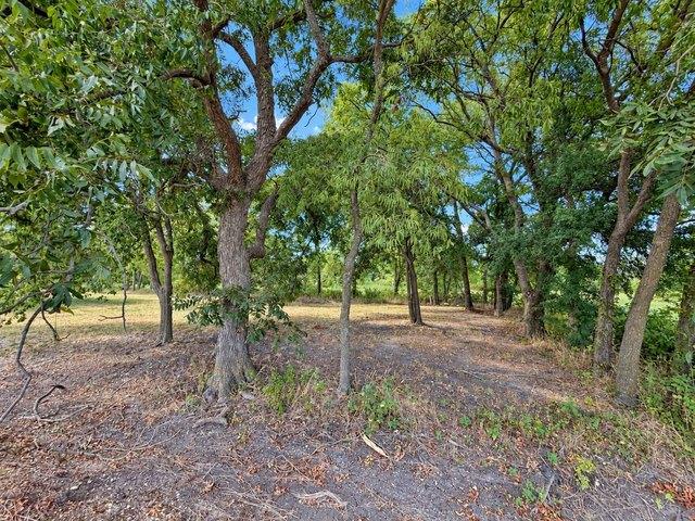 Land for sale in Fannin, Texas