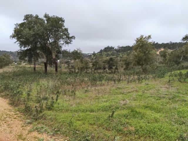 Terreno venda em Boavista dos Pinheiros, Odemira