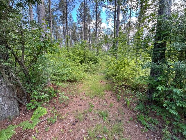 Land for sale in Tennessee