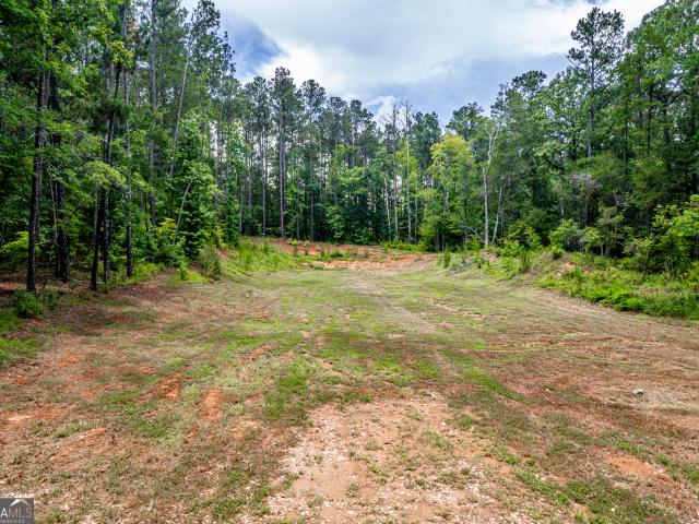 Land for sale in Sparta, Georgia