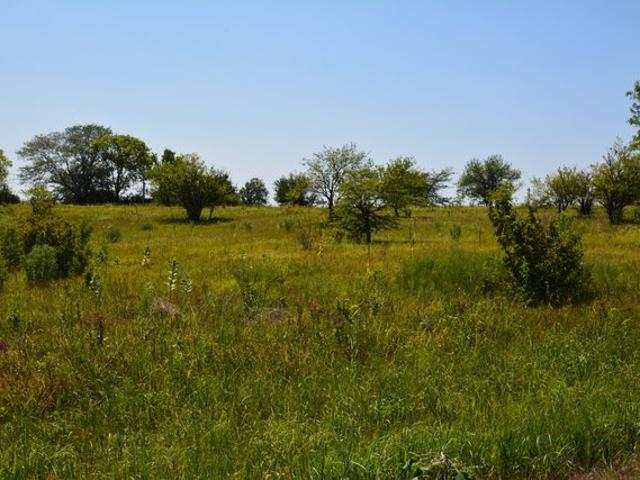 Land for sale in Kansas