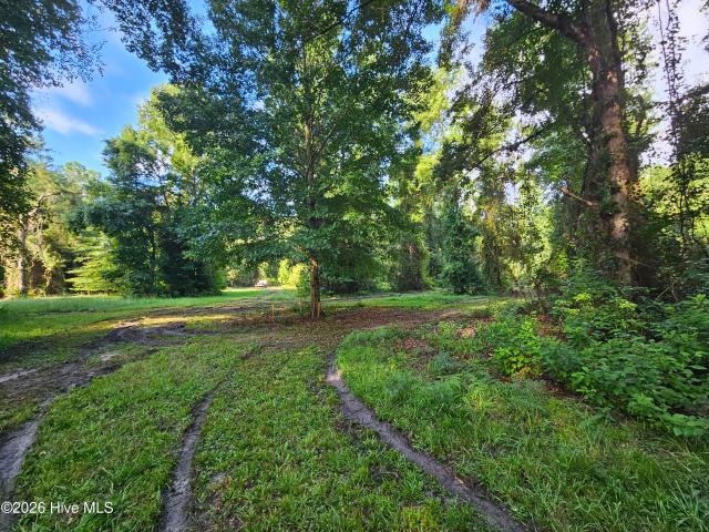 Land for sale in Belhaven, North Carolina