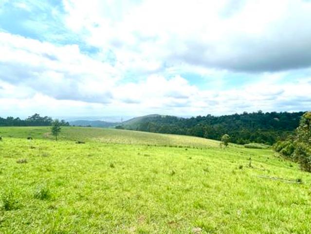 Land for sale in Kwazulu-natal