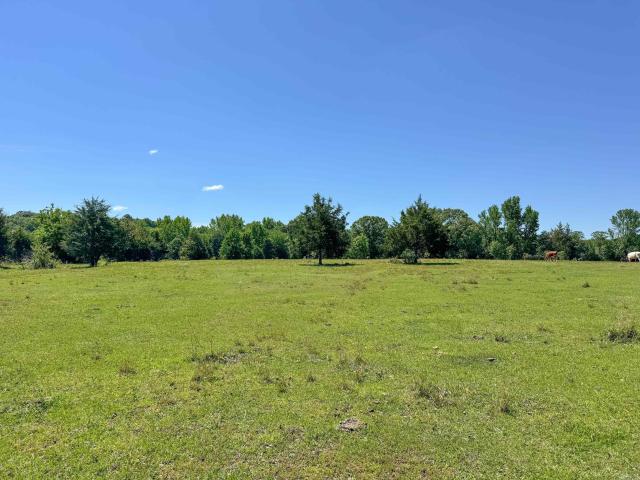 Land for sale in Ark