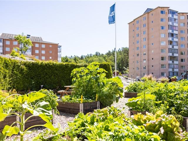 Lägenhet hyra i Uddevalla, Västra Götaland