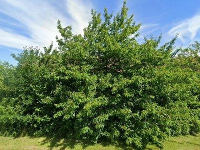 Lägenhet hyra i Staffanstorp, Skåne