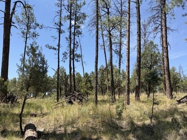 Land for sale in Timberon, New Mexico