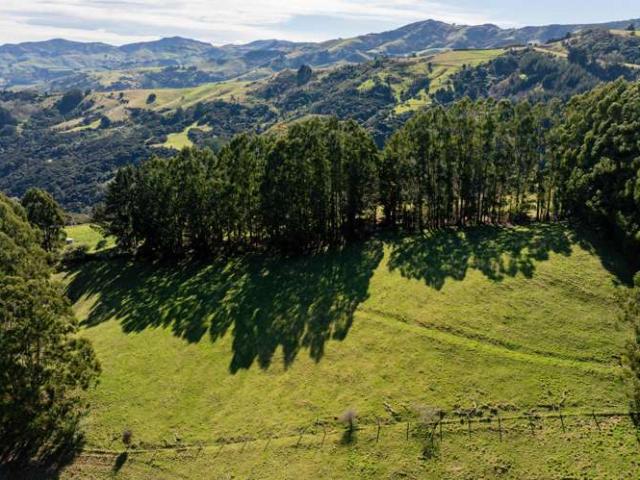 House for sale in Little Akaloa, Canterbury